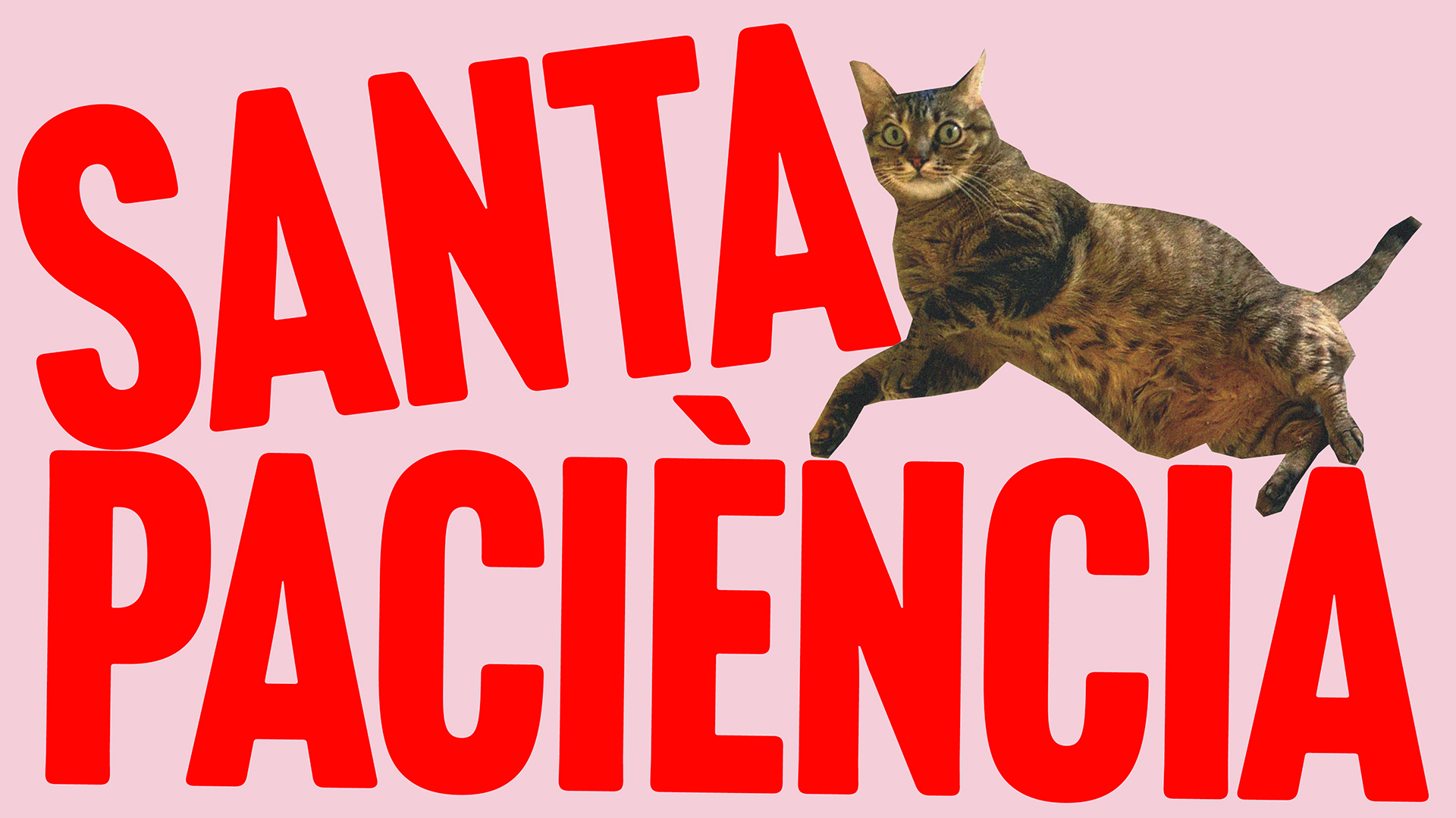 Santa paciència amb Ana Polo – Episodi 1
