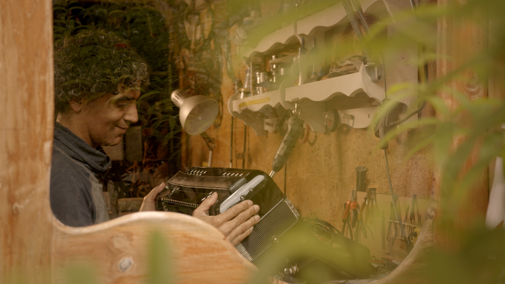 Imatge principal Tremolo